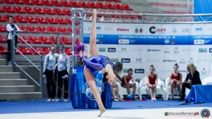 iris firenze   falciai arezzo sfa07325a copia